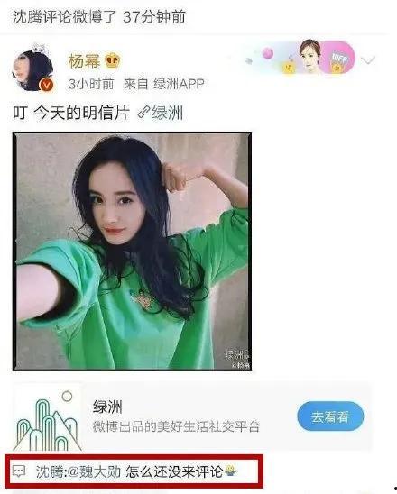 娱乐圈吃瓜网站叫什么,那些你不知道的“吃瓜”网站幕后故事